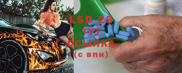 стаф Арсеньев