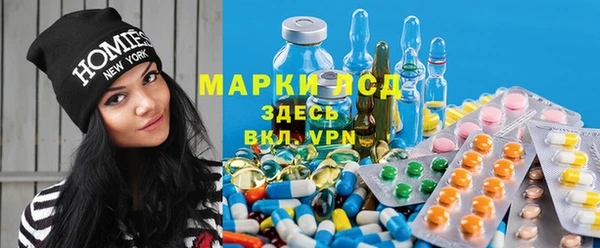 стаф Арсеньев