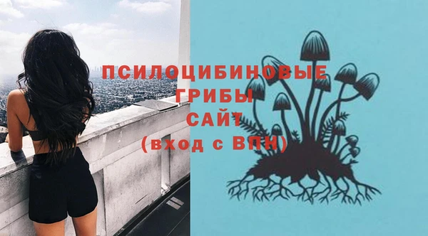 ALPHA-PVP Баксан