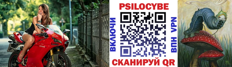 Псилоцибиновые грибы прущие грибы  Боровичи 